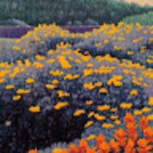 Meet your Posher, Ella